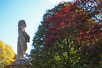 Fountain boy statue in autumn maple tree leaf landscape in Australia, red, green colours with sunlight and blue sky, close up seletive focus view