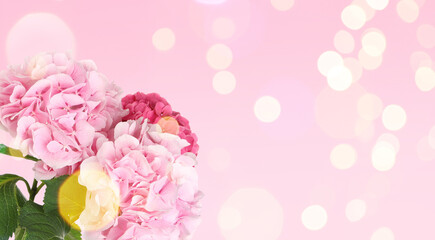Bouquet of beautiful hortensia flowers on pink background, space for text. Banner design