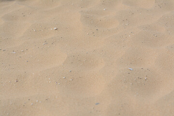 Fototapeta na wymiar Texture of sandy beach as background, closeup