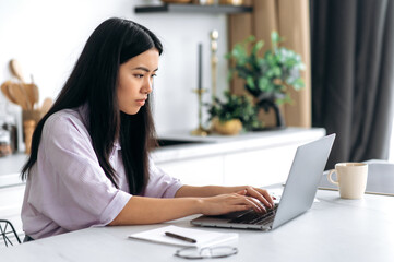 Concentrated smart brunette chinese girl in stylish wear, freelancer, student or creative designer, sits at home in the kitchen, uses a laptop, working on a project, browses the Internet, analyzing