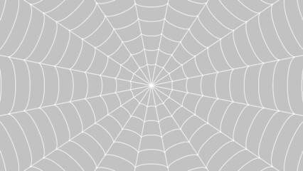 Obraz premium 蜘蛛の巣の背景