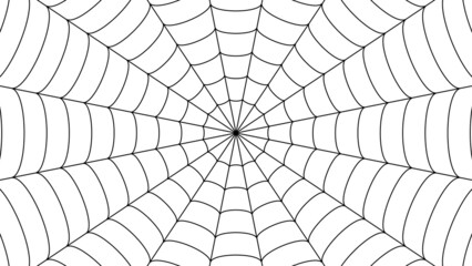 Obraz premium 蜘蛛の巣の背景