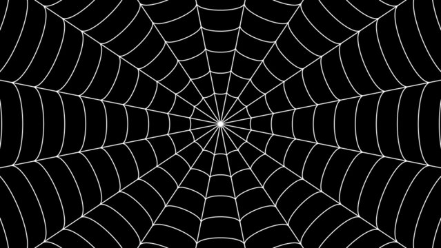 蜘蛛の巣の背景