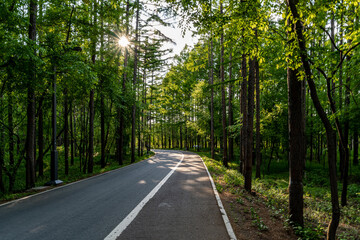 Spring scenery of Jingyuetan National Forest Park in Changchun, China
