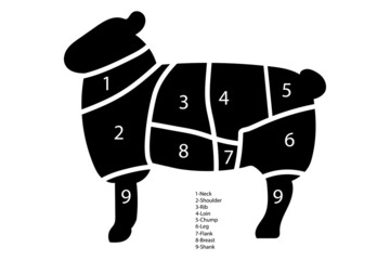 Sheep cutting diagram in retro style. Slicing chart with numbers. Vector illustration. stock image.