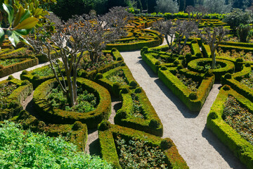 Obraz premium Scenic view of maintained landscaped garden in Mateus Palace with green natural openwork of trimmed bushes of boxwood and labyrinth of paths in spring, Vila Real, Portugal