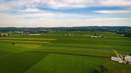 Aerial View of Farmlands With Barns and Silos, Looking Over the Hills and Fields of Rich Crops Growing on a Sunny Summer Day