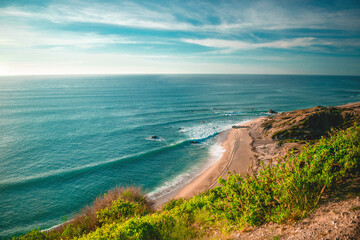 A beautiful landscape heading toward 9 palms trees, a beach of a lot of surfing