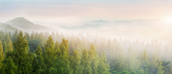 The majestic landscape of the summer mountains, the view of the hills, the mist of the mountains in...