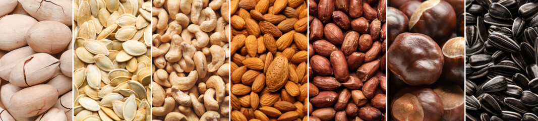 Collage with many different nuts and seeds