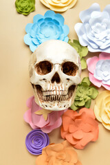 Human skull with handmade paper flowers on beige background