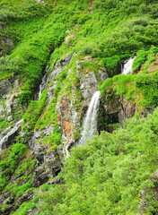 A small waterfall flowing down from a rocky mountain overgrown with dense shrubs.