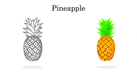 Pineapple line art color less fruit for pre school children's. Illustration of pineapple fruit with isolated cartoon style summer fruits, for a healthy and natural life, Vector illustration.