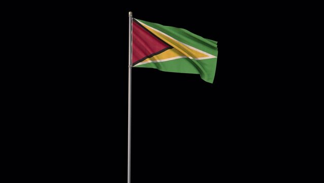 Guyana flag, 4k video background is transparent