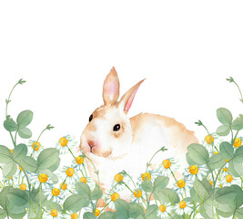 花畑のウサギ　水彩イラスト