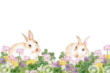 花畑で遊ぶ2羽のウサギ　水彩画