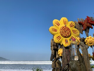 a bottle of mineral water is on the wood and among the yellow tropical wood flower decoration on...