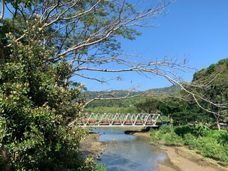 bridge over the river from the distance