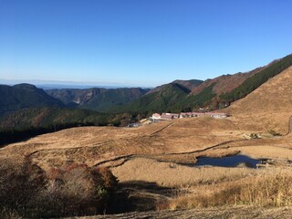 ススキ