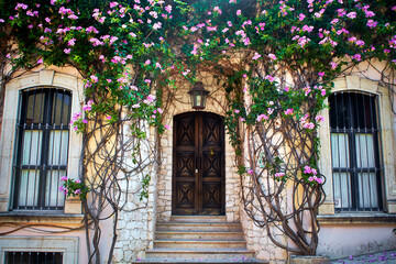 Obraz premium house with flowers door of wood and two windows in san miguel de allende guanajuato 