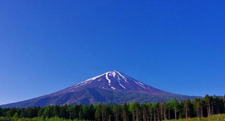 20220525林道富士線からの早朝の青空快晴の富士山