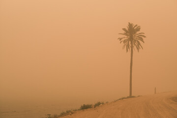 photo of sandstorm in iraq