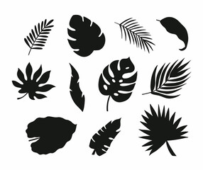 Set of silhouettes of palm leaves