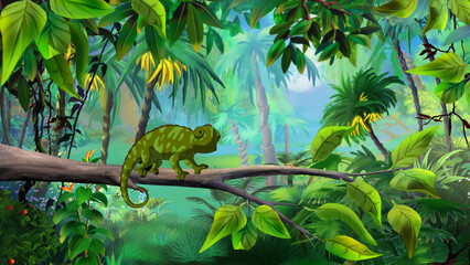Green chameleon in the rainforest © multipedia