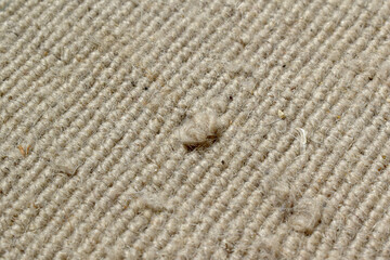 Fototapeta na wymiar Dirty old rug or carpet with cat scratching, pet hair, human hair and lots of dust on it. Pulled rug threads background. Photo can be used for the concept of how to clean and repair the carpet. 