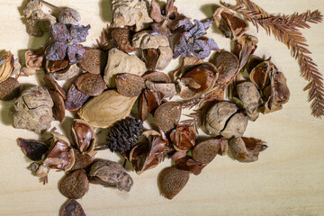 the seeds of dried plants are used for the manufacture of medical and therapeutic preparations and spa treatments.
