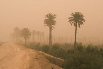photo of sandstorm in Iraq