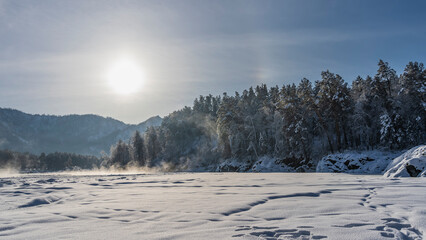 The frozen river is covered with snow. Footprints are visible. In the distance, steam rises over a non-freezing area. The sun is shining in the blue sky. Coniferous forest on the shore. Altai