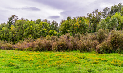 Autumn filled with wildflowers