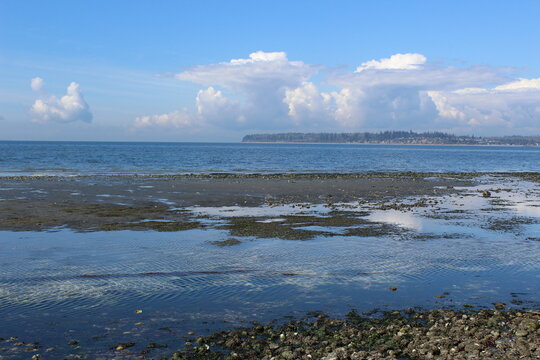 A distance view of Birch Point and tides out Birch Bay 