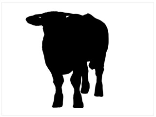 Silhouette of a standing cow vector image