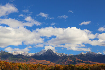 雪山と紅葉