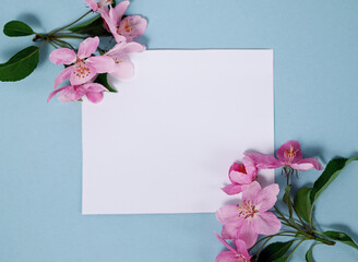 Blank card with pink apple tree flowers on a blue background. Flat lay, top view, copy space, .minimalism.