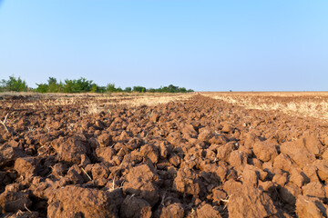 Agricultural field ploughed after harvesting the wheat, blue sky, black fertile land of Ukraine