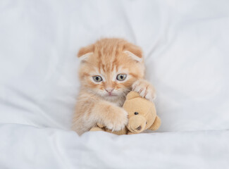Cute tiny kitten hugs favorite toy bear under white warm blanket on a bed at home.Top down view