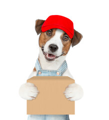 Jack russell terrier puppy wearing overalls and red cap holds big box. isolated on white background