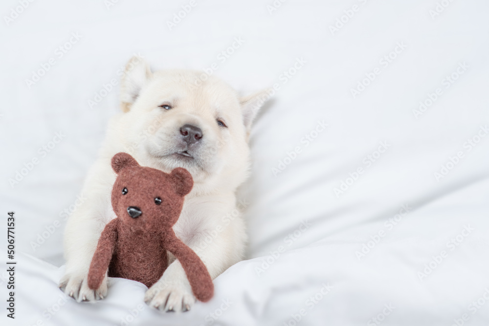 Poster Golden retriever puppy hugs toy bear on a bed at home before bedtime. Top down view. Empty space for text