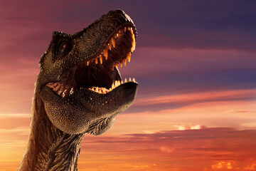 Dinosaur trex tyrannosaurus rex toy © fotokitas