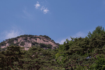 landscape with blue sky