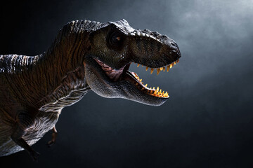 Dinosaur, Tyrannosaurus Rex on dark background