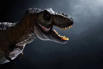 Tableaux ronds sur aluminium Dinosaures Dinosaur, Tyrannosaurus Rex on dark background