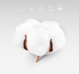 High realistic cotton boll with icons. Vector illustration. Great for different backgrounds. EPS10.	