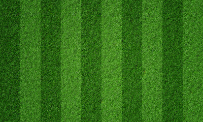 Soccer field in football stadium with line grass pattern. Sport background and athletic wallpaper concept. 3D illustration rendering