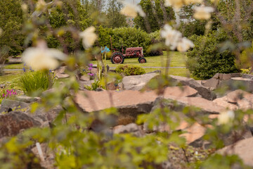 Old brown tractor as exhibit in the botanical garden of Akureyri in Iceland with some flower and...
