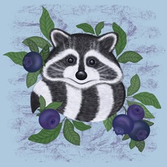 A raccoon with fluffy fur sits in the bushes of delicious blueberries.