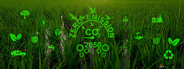 Net Zero - Icon with Net Zero on green rice fields. Net Zero and Carbon Neutral Concepts . Net Zero...